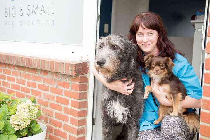 hondentrimmers Antwerpen Big & Small dog grooming