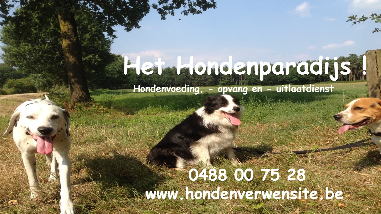 hondentrimmers Borgerhout Lekker & Gezhond (Het Hondenparadijs)